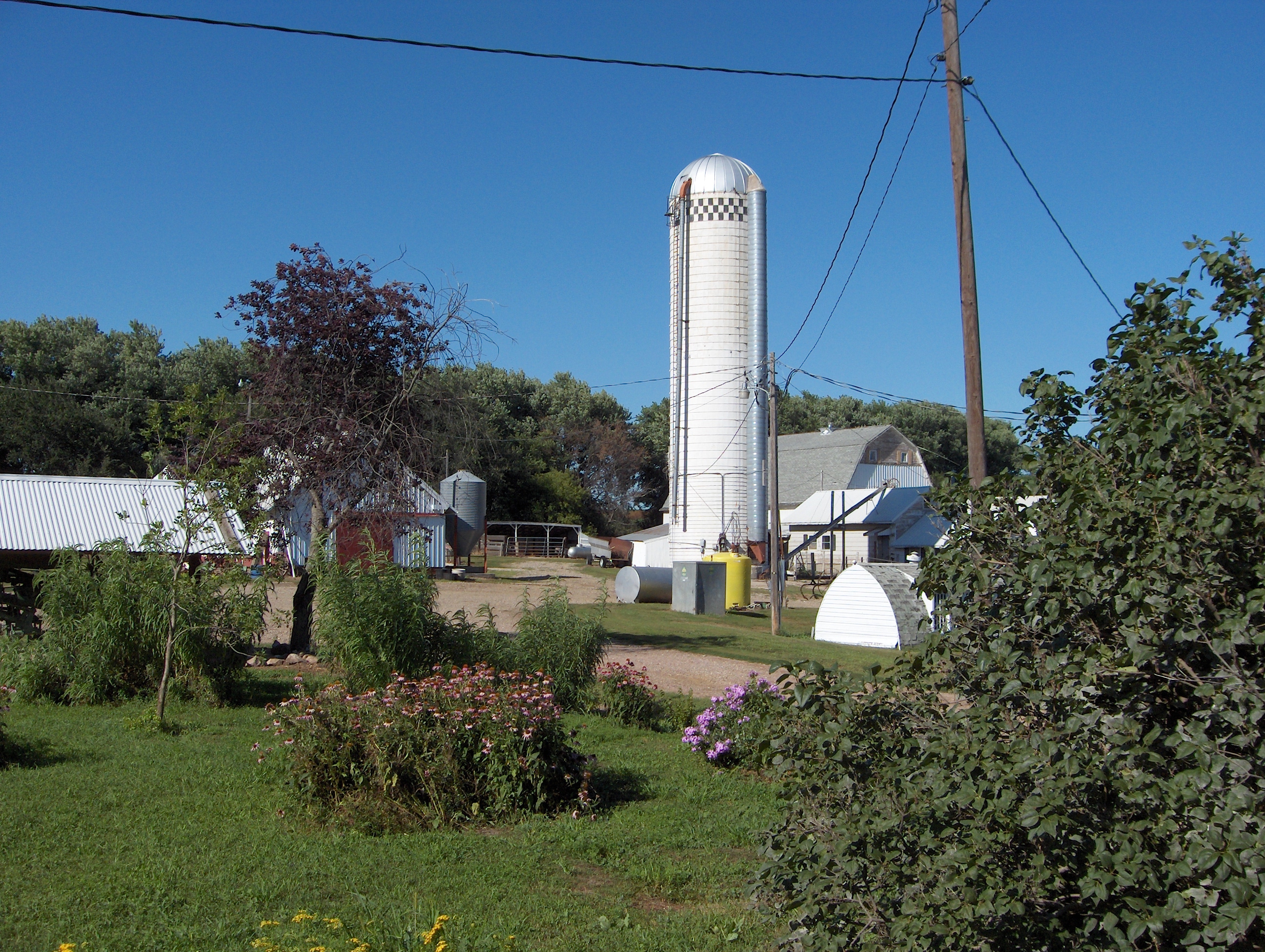 Elwood's Farm